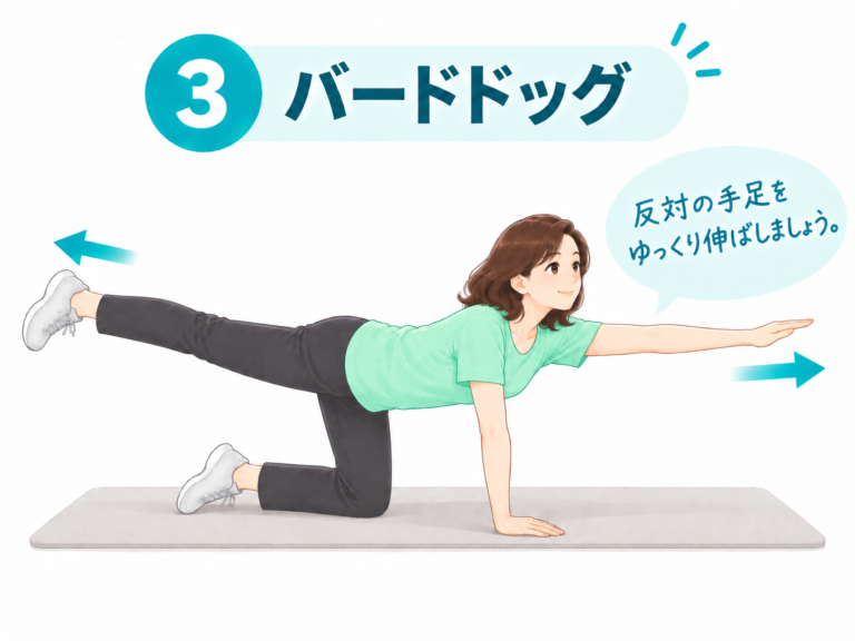 バードドッグのやり方イラスト